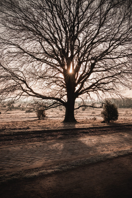 Unterwegs Zum Fotografieren In Der Luneburger Heide Drei Auf Reisen