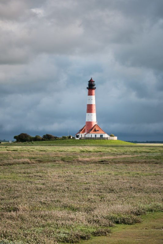 Rund um den Leuchtturm Westerheversand befinden sich die Salzwiesen